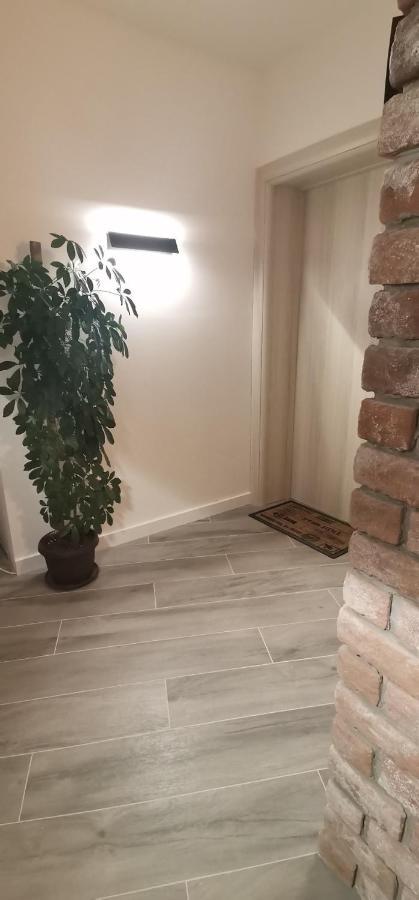 Apartment Tanis Nis