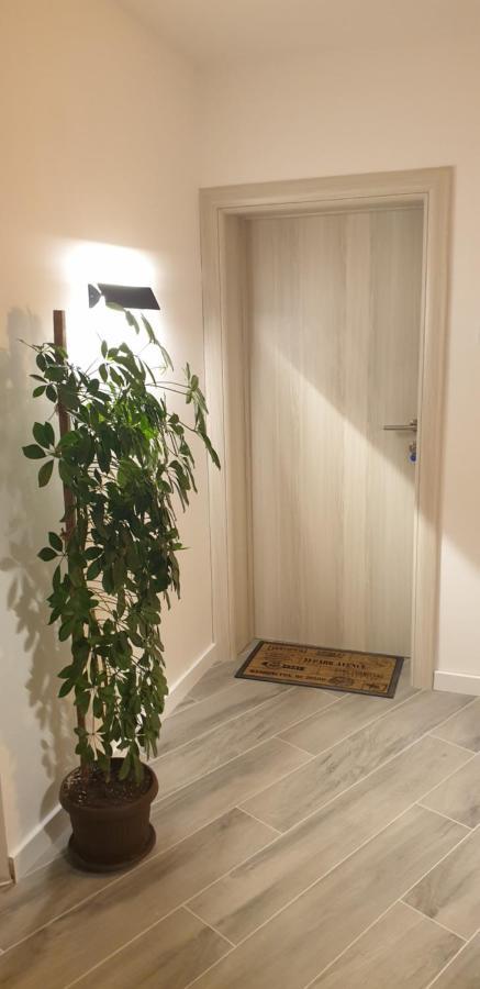 Apartment Tanis
